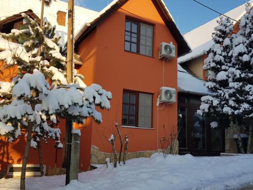 Legányi Apartmanház en invierno