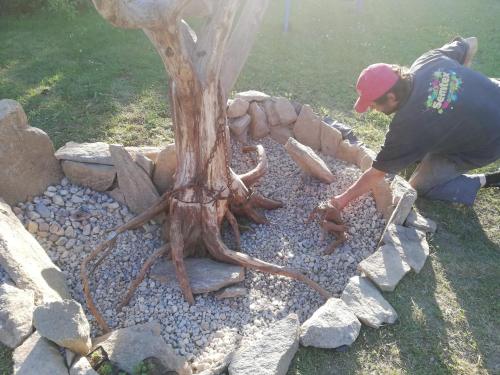 a man kneeling down next to a tree on rocks at Apartmány MK u MODRÉ KOČKY in Nové Hrady