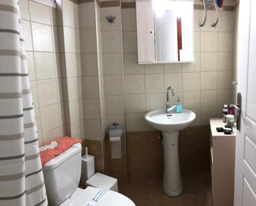 a small bathroom with a toilet and a sink at Stergios_Apartments 03 in Kozani