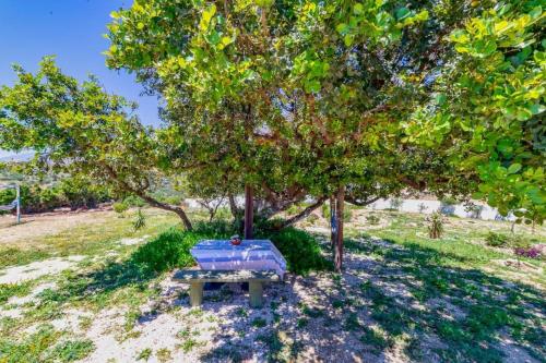 Κήπος έξω από το Villa George Sea View with pool - Triopetra