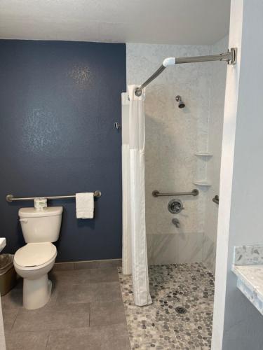 a bathroom with a toilet and a glass shower at The Historic Brookdale Lodge, Santa Cruz Mountains in Brookdale
