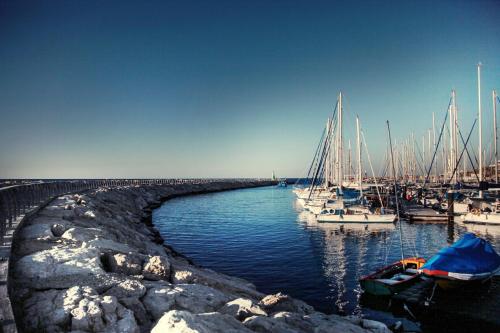 a group of boats are docked in a marina at Debrah Brown, a member of Brown Hotels in Tel Aviv