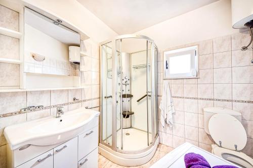 W łazience znajduje się prysznic, umywalka i toaleta. w obiekcie Apartman Andrej w mieście Povlja