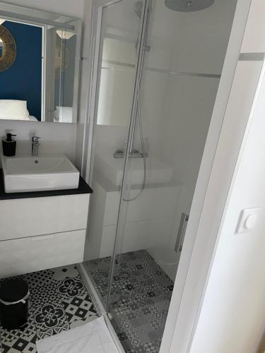une salle de bain avec douche et lavabo dans l'établissement Villa saint Louis 3, à Cabourg