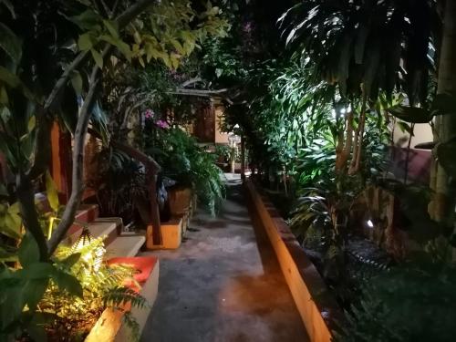 Κήπος έξω από το Hotel La Cabaña