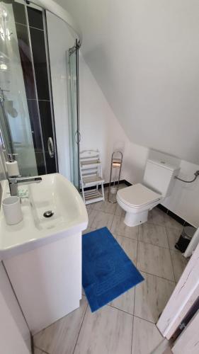 a bathroom with a white sink and a toilet at Parkowy Kudowa in Kudowa-Zdrój