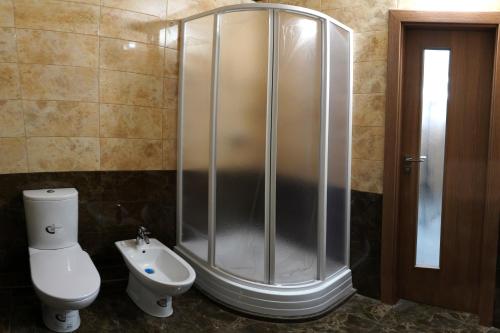 a bathroom with a shower and a toilet and a sink at Zakarpatskiy Oazis in Karpaty