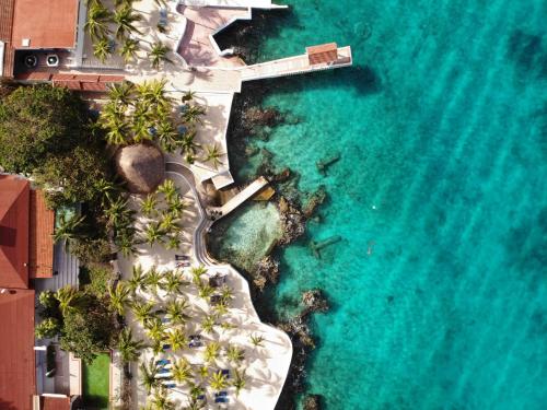 an aerial view of a resort and the ocean at Cozumel Hotel & Resort All Inclusive in Cozumel