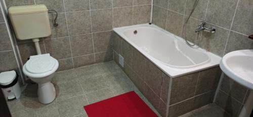 a bathroom with a tub and a toilet and a sink at Vila Alisa in Bran