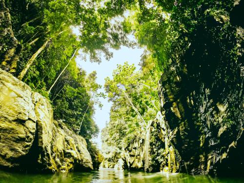 a river in a jungle with trees and rocks at Refugio Monte Oscuro in Las Mercedes