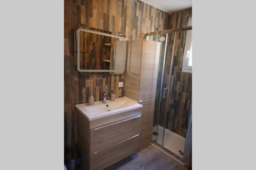 a bathroom with a sink and a shower at Jolie petite Maison de Charme dans quartier boisé in Vallauris