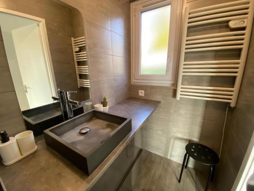 baño con lavabo grande y espejo en Maison entière avec jardin et une belle vue en Évreux
