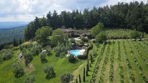 Villa Flora – Photos 2