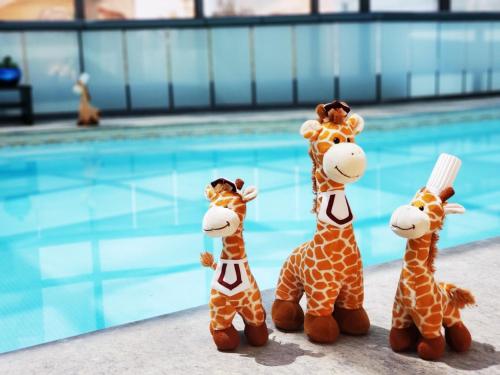 three giraffe figurines standing next to a swimming pool at Hotel Marquis Reforma in Mexico City