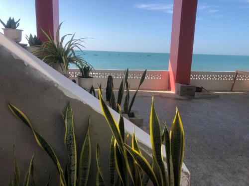 a view of the ocean from a patio with plants at Tulip Mui Ne in Phan Thiet