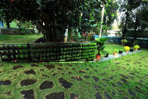 Zahrada ubytování NARMADA HOMESTAY Ganga