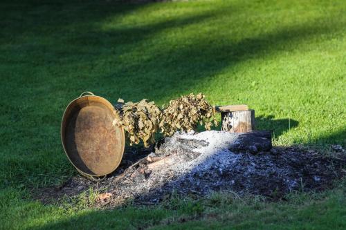 a large pot full of dirt in the grass at Taparynė in Alanta