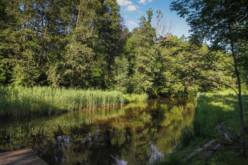 a river with trees and reflections in the water at Taparynė in Alanta