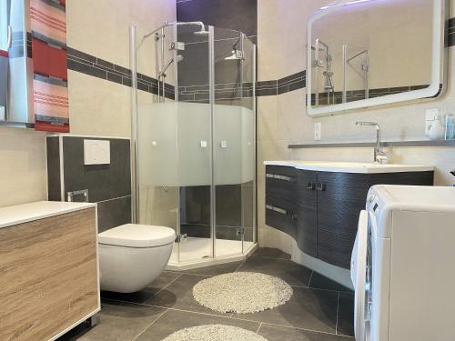 ein Bad mit einer Dusche, einem WC und einem Waschbecken in der Unterkunft Ferienwohnungen Reiger - WA320 in Wackersdorf