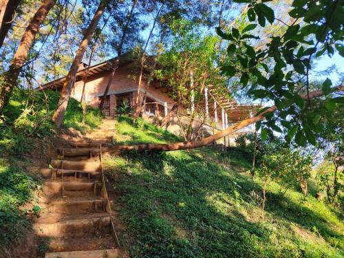 Gallery image of Paradise Eco Farm Homestay in Lushoto