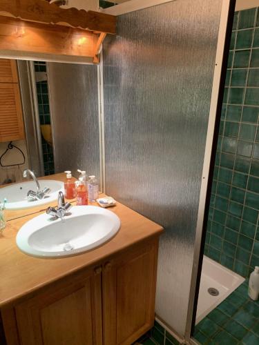 une salle de bain avec un lavabo et une douche dans l'établissement Bel appartement au décor Montagnard - 80m2, aux Contamines-Montjoie