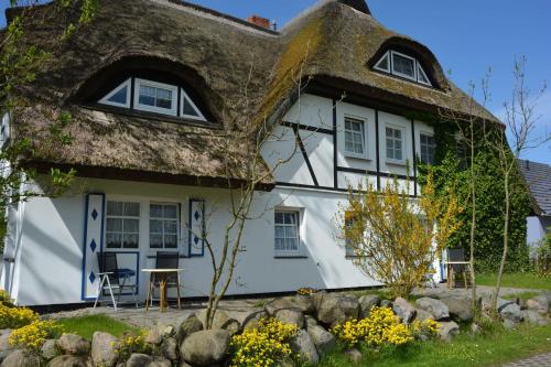 ミデルハーゲンにあるRohrdachhusの茅葺き屋根のコテージ