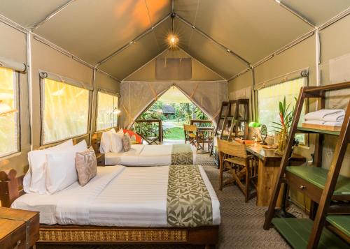 Katil atau katil-katil dalam bilik di Hintok River Camp