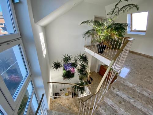 a staircase with a bunch of plants at Hotel Hilgers in Düren - Eifel