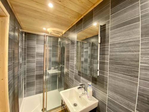 y baño con lavabo y ducha. en Southernwood - Wantage Road Lodge en Didcot