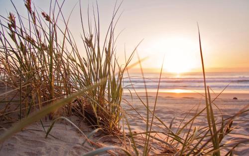 a sunset over the beach with grass in the sand at Hotel Emocja SPA in Mielno