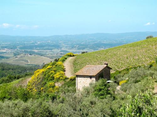 un vieux bâtiment sur le côté d'une colline dans l'établissement Holiday Home Cellole - Valluccia by Interhome, à Castellina in Chianti