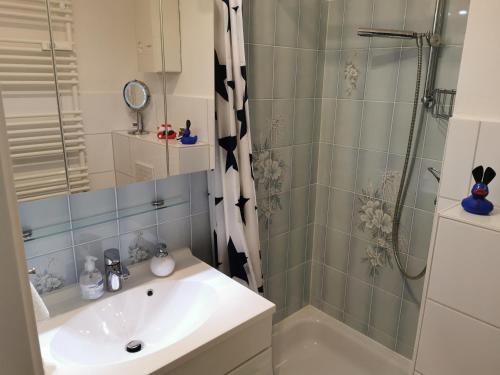 a bathroom with a sink and a shower at Fewo-Harz-Uraub in Altenau