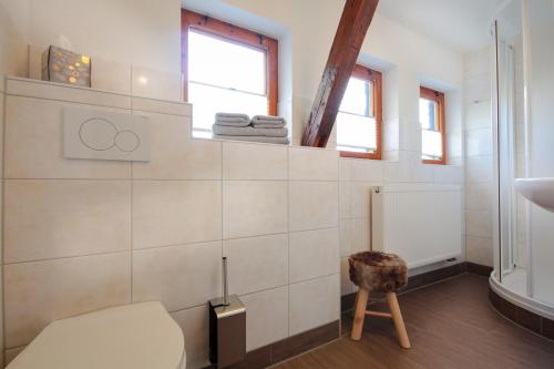 a bathroom with a toilet and a sink at Haus am Berg - Pension direkt am Skihang in Kurort Oberwiesenthal
