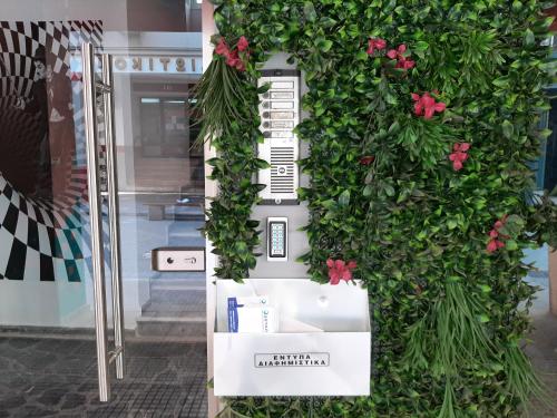 Κήπος έξω από το Bill Apartments