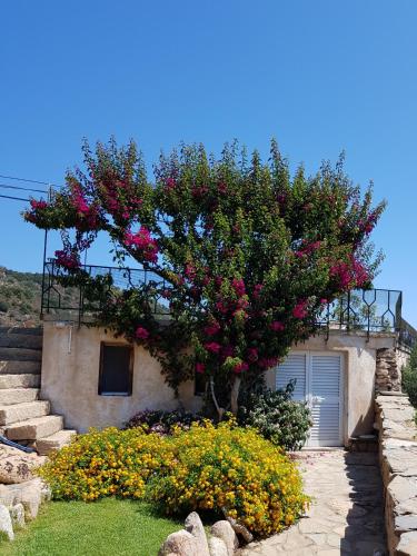 Κήπος έξω από το Sardinia Family Villas - Villa Carmen with sea view and pool