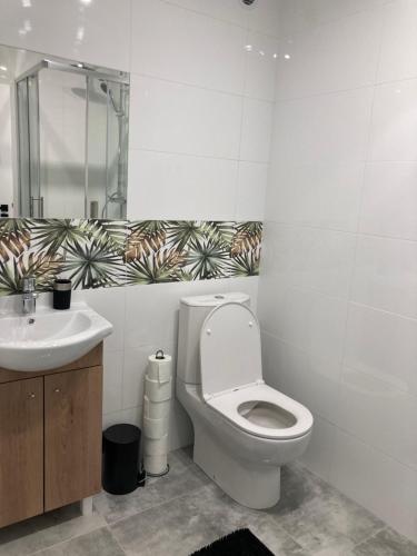 a bathroom with a toilet a sink and a mirror at Apartament Swobodna No.2 in Sosnowiec
