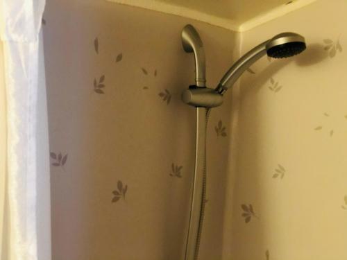 a shower head in a bathroom with butterflies on the wall at Apple tree cabin with river views in Avesta