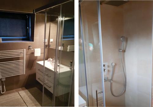 een badkamer met een douche en een wastafel bij Apartman Srebrena lisica - Babin do Bjelašnica Free Garage - Kanton Sarajevo in Bjelašnica