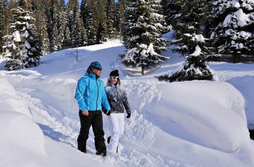 a man and a woman standing in the snow at Apartment Nester in Stumm