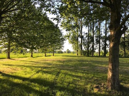 a field of grass with trees in a park at Vakantiehuis Wandelen en fietsen in de Kalkense Meersen dichtbij Gent in Laarne