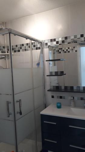 uma casa de banho com um chuveiro, um lavatório e um espelho. em 2 pièces avec grande terrasse em La Ciotat