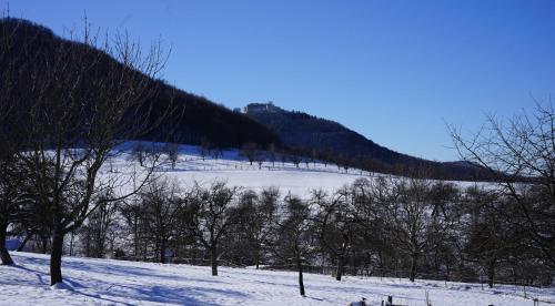 a snow covered slope with trees and a mountain at Beurener Hof in Beuren