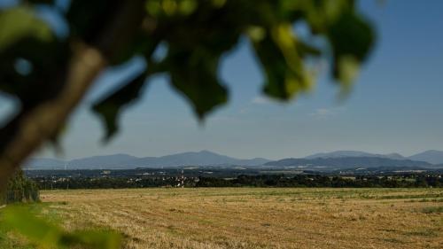 a field of grass with mountains in the background at Penzion V Poli in Klimkovice