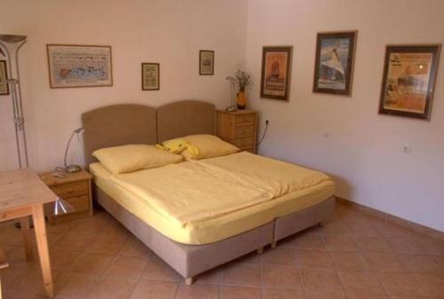Studio Apartment Hvar (221-1)
