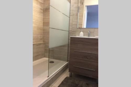 ディーブ・シュル・メールにあるAppartement rez-de- chaussée sur le port wi-fi 4Gのシャワーと洗面台付きのバスルーム