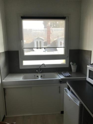 uma cozinha com um lavatório e uma janela em Le Villeneuve em Gray