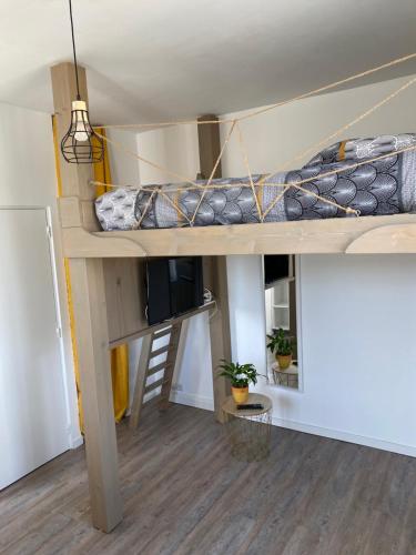 a room with a bunk bed in a room at Studio cocoon in Amboise