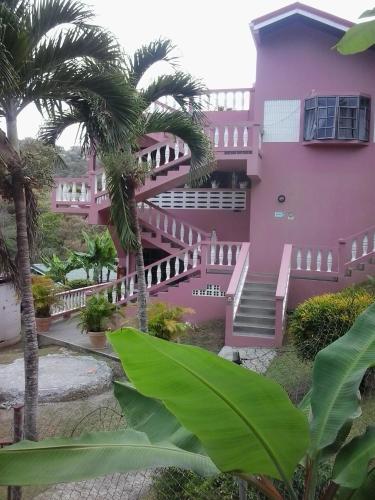 a pink house with stairs and palm trees in front at Top Ranking Hill View Guesthouse in Speyside