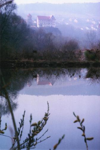 a view of a lake with a building in the background at Gasthaus Zum güldenen Rößlein in Homburg