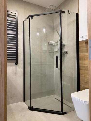 y baño con ducha y puerta de cristal. en Apartament Na Wzgórzu en Duszniki Zdrój